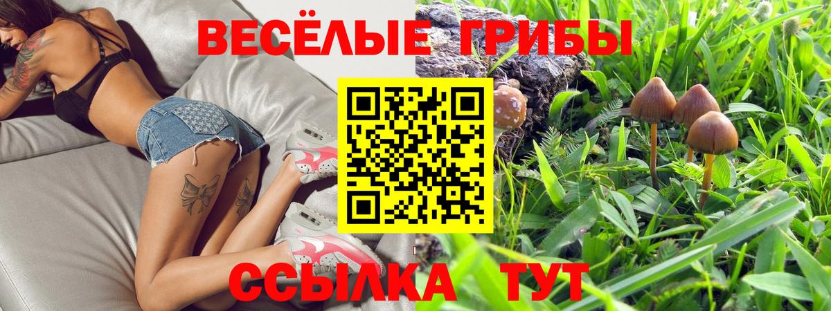 Псилоцибиновые грибы мицелий Россия