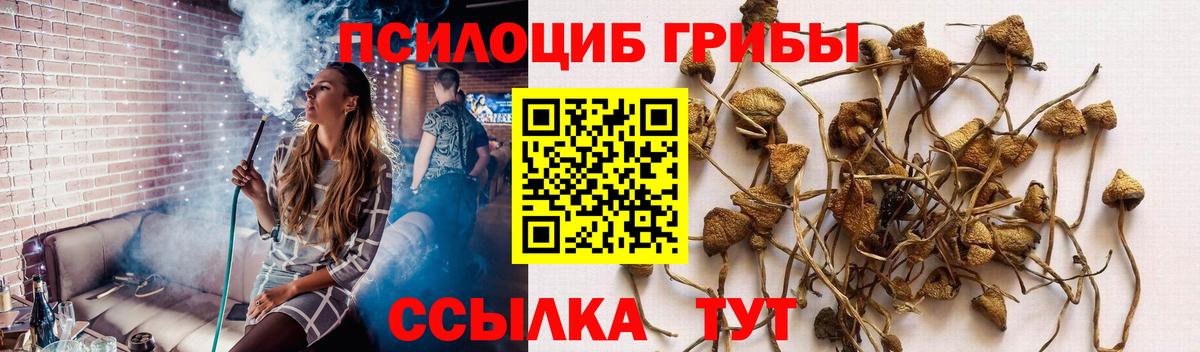 МАРИХУАНА  Кокаин  Амфетамин   Вход с VPN  Россия  Мефедрон   Codein 