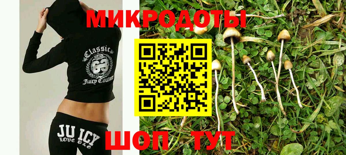 Россия  Псилоцибиновые грибы Magic Shrooms  Вход с VPN 